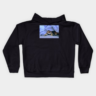 Katze im Nest / Swiss Artwork Photography Kids Hoodie